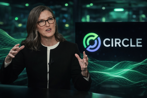 Ark Invest Borong Saham Circle $16 Juta di Tengah Penurunan Harga 20%