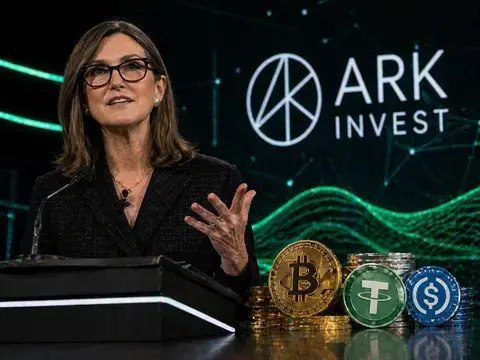 CEO ARK Invest Akui Bitcoin Kalah dari Stablecoin Sebagai Alat Pembayaran