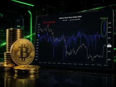 Indikator Bitcoin Berbalik Naik Setelah 11 Bulan, CryptoQuant Beri Sinyal Bullish